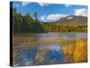 Elbow Pond, Baxter State Park, Maine, New England, United States of America, North America-Alan Copson-Stretched Canvas