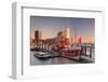 Elbphilharmonie at sunset, Elbufer, HafenCity, Hamburg, Hanseatic City, Germany, Europe-Markus Lange-Framed Photographic Print