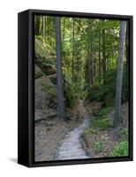 Elbsandsteingebirge, in the NP Saxon Switzerland. Hiking Trails-Martin Zwick-Framed Stretched Canvas