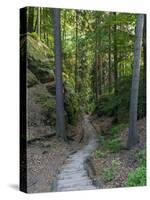 Elbsandsteingebirge, in the NP Saxon Switzerland. Hiking Trails-Martin Zwick-Stretched Canvas