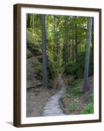 Elbsandsteingebirge, in the NP Saxon Switzerland. Hiking Trails-Martin Zwick-Framed Premium Photographic Print