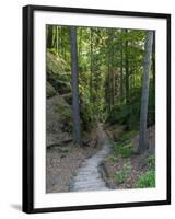 Elbsandsteingebirge, in the NP Saxon Switzerland. Hiking Trails-Martin Zwick-Framed Premium Photographic Print