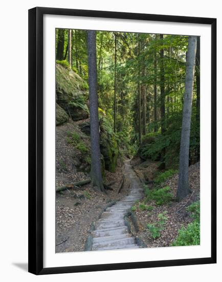 Elbsandsteingebirge, in the NP Saxon Switzerland. Hiking Trails-Martin Zwick-Framed Premium Photographic Print