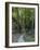 Elbsandsteingebirge, in the NP Saxon Switzerland. Hiking Trails-Martin Zwick-Framed Photographic Print