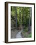 Elbsandsteingebirge, in the NP Saxon Switzerland. Hiking Trails-Martin Zwick-Framed Photographic Print