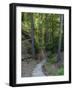 Elbsandsteingebirge, in the NP Saxon Switzerland. Hiking Trails-Martin Zwick-Framed Photographic Print