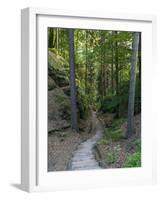 Elbsandsteingebirge, in the NP Saxon Switzerland. Hiking Trails-Martin Zwick-Framed Photographic Print