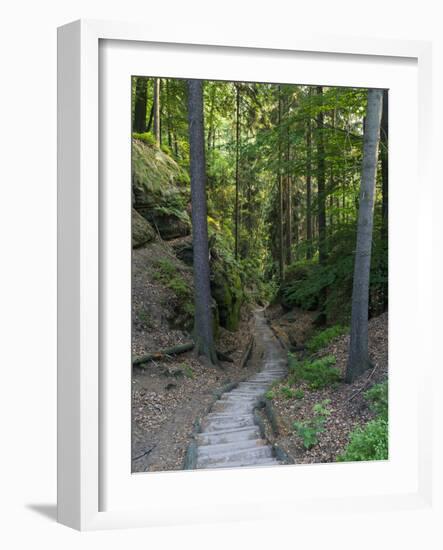 Elbsandsteingebirge, in the NP Saxon Switzerland. Hiking Trails-Martin Zwick-Framed Photographic Print