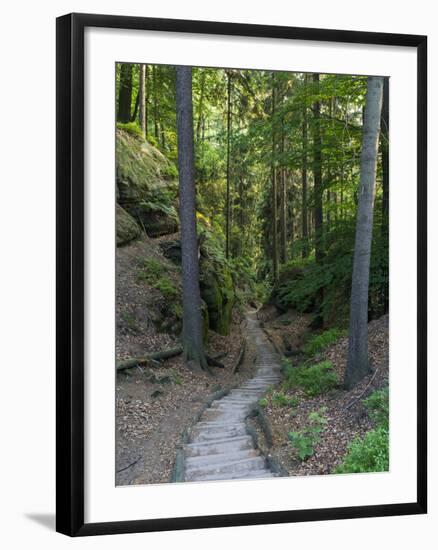 Elbsandsteingebirge, in the NP Saxon Switzerland. Hiking Trails-Martin Zwick-Framed Photographic Print