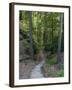 Elbsandsteingebirge, in the NP Saxon Switzerland. Hiking Trails-Martin Zwick-Framed Photographic Print