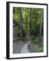 Elbsandsteingebirge, in the NP Saxon Switzerland. Hiking Trails-Martin Zwick-Framed Photographic Print