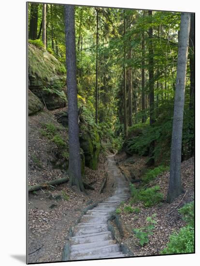 Elbsandsteingebirge, in the NP Saxon Switzerland. Hiking Trails-Martin Zwick-Mounted Photographic Print