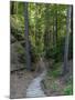 Elbsandsteingebirge, in the NP Saxon Switzerland. Hiking Trails-Martin Zwick-Mounted Photographic Print