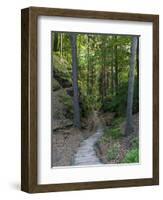 Elbsandsteingebirge, in the NP Saxon Switzerland. Hiking Trails-Martin Zwick-Framed Photographic Print