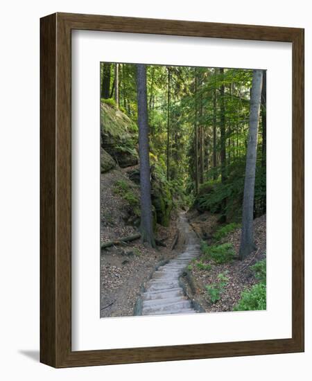 Elbsandsteingebirge, in the NP Saxon Switzerland. Hiking Trails-Martin Zwick-Framed Photographic Print