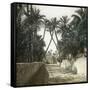 Elche (Spain), a Street, Circa 1885-1890-Leon, Levy et Fils-Framed Stretched Canvas