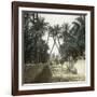 Elche (Spain), a Street, Circa 1885-1890-Leon, Levy et Fils-Framed Photographic Print