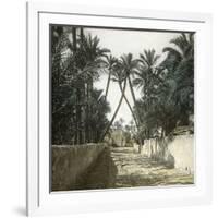 Elche (Spain), a Street, Circa 1885-1890-Leon, Levy et Fils-Framed Photographic Print