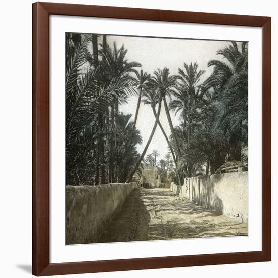 Elche (Spain), a Street, Circa 1885-1890-Leon, Levy et Fils-Framed Photographic Print