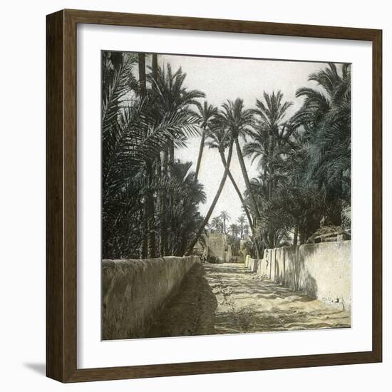 Elche (Spain), a Street, Circa 1885-1890-Leon, Levy et Fils-Framed Photographic Print