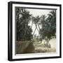 Elche (Spain), a Street, Circa 1885-1890-Leon, Levy et Fils-Framed Photographic Print