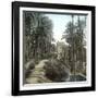 Elche (Spain), the Forest of Palm Trees and the Tower of the Castle, Circa 1885-1890-Leon, Levy et Fils-Framed Photographic Print