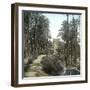 Elche (Spain), the Forest of Palm Trees and the Tower of the Castle, Circa 1885-1890-Leon, Levy et Fils-Framed Photographic Print
