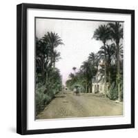 Elche (Spain), the Main Road of Alicante, Circa 1885-1890-Leon, Levy et Fils-Framed Photographic Print