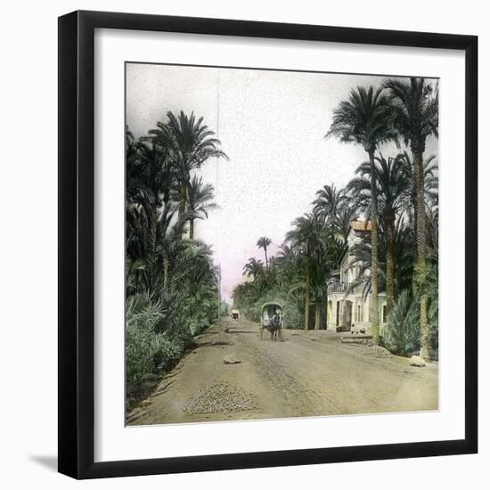 Elche (Spain), the Main Road of Alicante, Circa 1885-1890-Leon, Levy et Fils-Framed Photographic Print