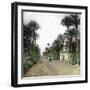 Elche (Spain), the Main Road of Alicante, Circa 1885-1890-Leon, Levy et Fils-Framed Photographic Print