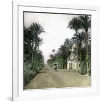 Elche (Spain), the Main Road of Alicante, Circa 1885-1890-Leon, Levy et Fils-Framed Photographic Print