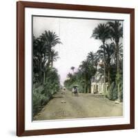 Elche (Spain), the Main Road of Alicante, Circa 1885-1890-Leon, Levy et Fils-Framed Photographic Print