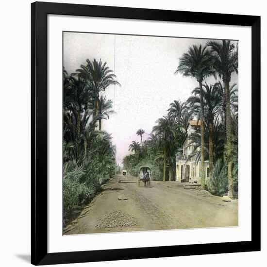 Elche (Spain), the Main Road of Alicante, Circa 1885-1890-Leon, Levy et Fils-Framed Photographic Print
