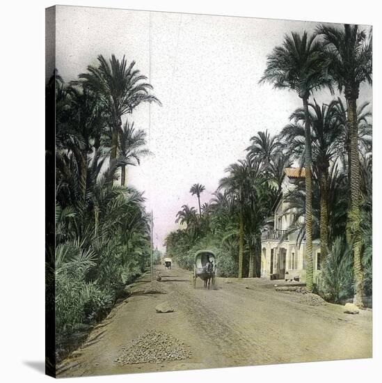 Elche (Spain), the Main Road of Alicante, Circa 1885-1890-Leon, Levy et Fils-Stretched Canvas