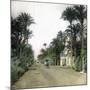 Elche (Spain), the Main Road of Alicante, Circa 1885-1890-Leon, Levy et Fils-Mounted Photographic Print