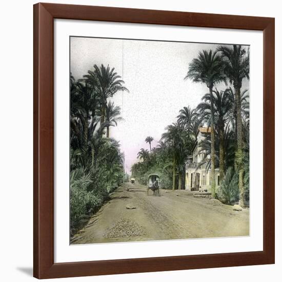 Elche (Spain), the Main Road of Alicante, Circa 1885-1890-Leon, Levy et Fils-Framed Photographic Print