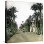 Elche (Spain), the Main Road of Alicante, Circa 1885-1890-Leon, Levy et Fils-Stretched Canvas