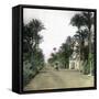 Elche (Spain), the Main Road of Alicante, Circa 1885-1890-Leon, Levy et Fils-Framed Stretched Canvas