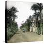 Elche (Spain), the Main Road of Alicante, Circa 1885-1890-Leon, Levy et Fils-Stretched Canvas