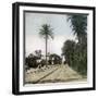 Elche (Spain), the Station, Circa 1885-1890-Leon, Levy et Fils-Framed Photographic Print