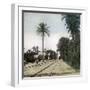 Elche (Spain), the Station, Circa 1885-1890-Leon, Levy et Fils-Framed Photographic Print