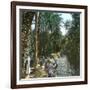 Elche (Spain), Women Washing Laundry in a Canal, Circa 1885-1890-Leon, Levy et Fils-Framed Photographic Print