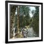 Elche (Spain), Women Washing Laundry in a Canal, Circa 1885-1890-Leon, Levy et Fils-Framed Photographic Print