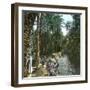 Elche (Spain), Women Washing Laundry in a Canal, Circa 1885-1890-Leon, Levy et Fils-Framed Photographic Print