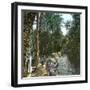 Elche (Spain), Women Washing Laundry in a Canal, Circa 1885-1890-Leon, Levy et Fils-Framed Photographic Print