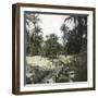 Elche (Spain), Women Washing Laundry in a Canal Near the Village, Circa 1885-1890-Leon, Levy et Fils-Framed Photographic Print