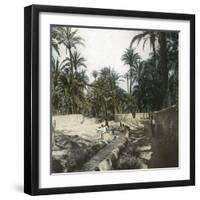 Elche (Spain), Women Washing Laundry in a Canal Near the Village, Circa 1885-1890-Leon, Levy et Fils-Framed Photographic Print