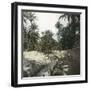 Elche (Spain), Women Washing Laundry in a Canal Near the Village, Circa 1885-1890-Leon, Levy et Fils-Framed Photographic Print