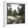 Elche (Spain), Women Washing Laundry in a Canal Near the Village, Circa 1885-1890-Leon, Levy et Fils-Framed Photographic Print