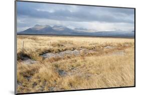 Eldborgahraun, Snaefellsnes, West Iceland-Julia Wellner-Mounted Photographic Print